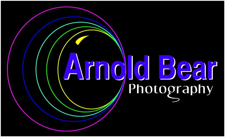 Arnold Bear Photography